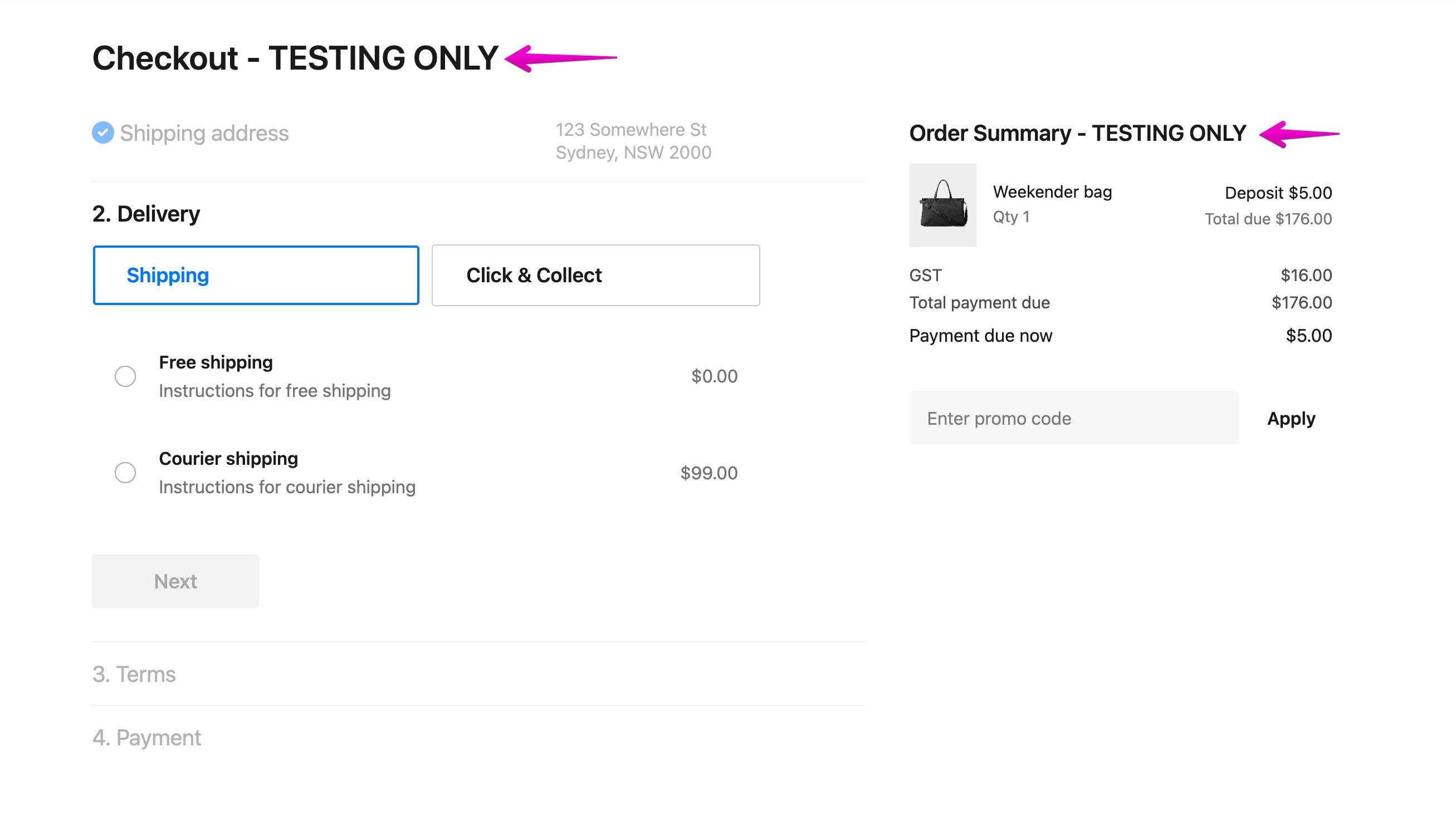 Test Order Checkout showing TESTING ONLY on the page